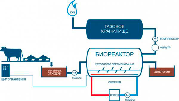 Технологическая схема переработки отходов животноводства в биогаз и ценные удобрения